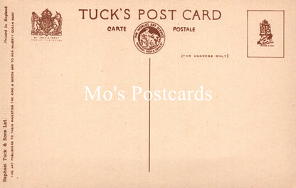 Animals Postcard - Dogs, Dave and Dusty   SW18926