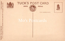 Load image into Gallery viewer, Animals Postcard - Dogs, Dave and Dusty   SW18926
