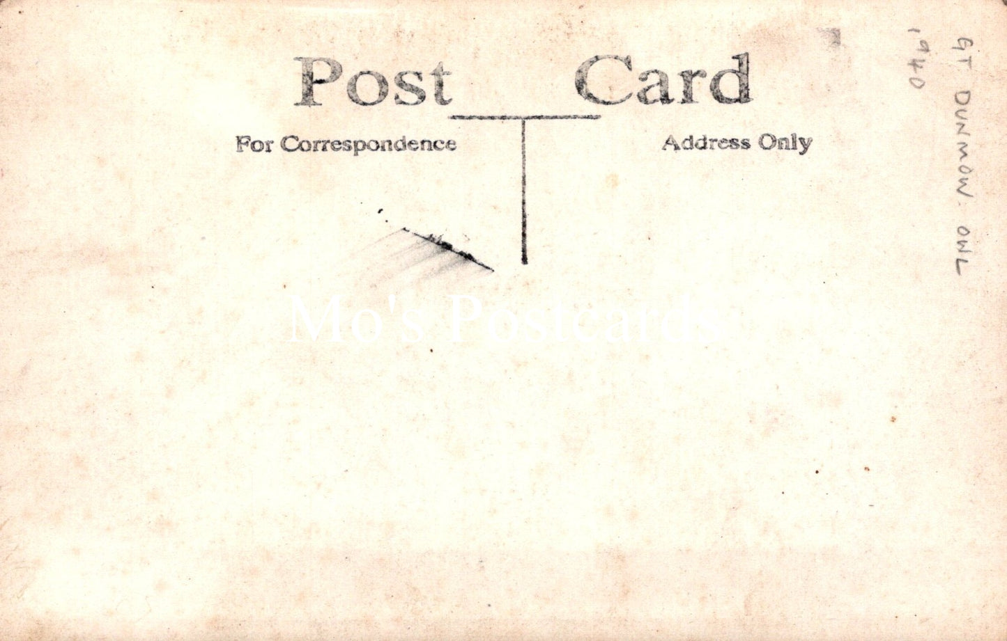 Animals Postcard - Birds, Great Dunmow Owl  SW18927