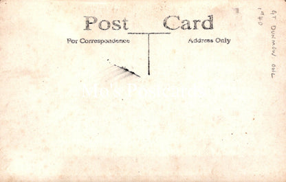 Animals Postcard - Birds, Great Dunmow Owl  SW18927