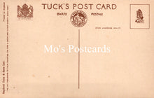 Load image into Gallery viewer, Animals Postcard - Dogs, Dave and Dusty   SW18928
