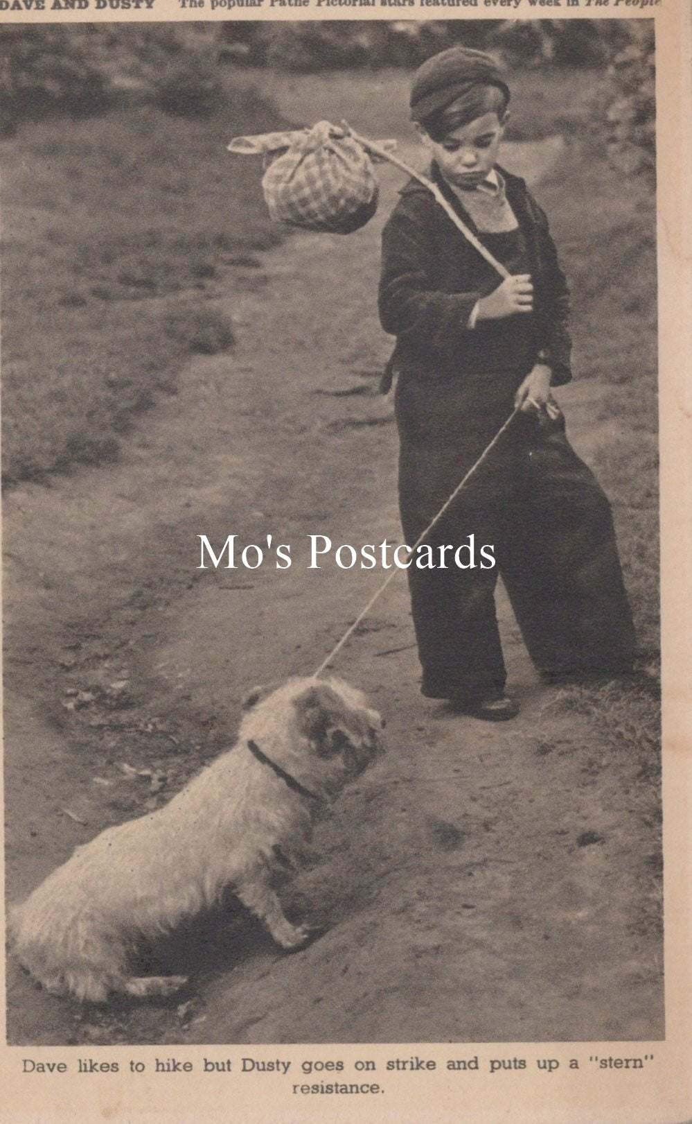 Animals Postcard - Dogs, Dave and Dusty   SW18929