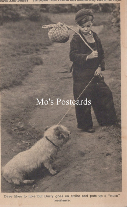 Animals Postcard - Dogs, Dave and Dusty   SW18929