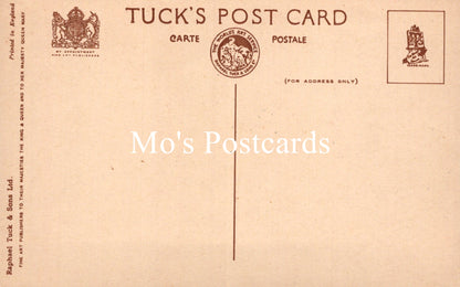 Animals Postcard - Dogs, Dave and Dusty   SW18929