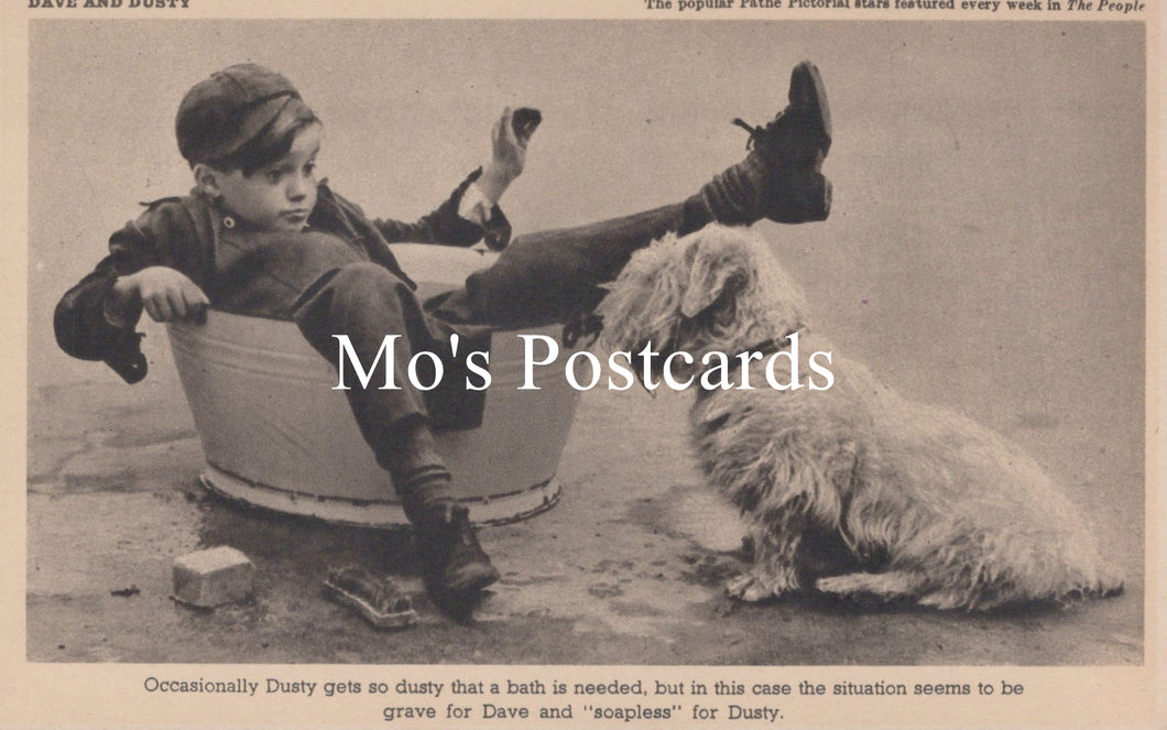 Animals Postcard - Dogs, Dave and Dusty   SW18930