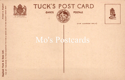 Animals Postcard - Dogs, Dave and Dusty   SW18930