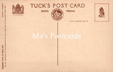 Load image into Gallery viewer, Animals Postcard - Dogs, Dave and Dusty   SW18930
