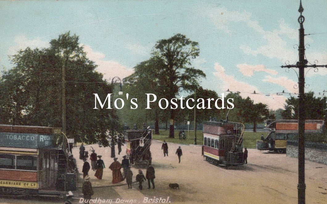 Bristol Postcard - Durdham Downs   SW18935