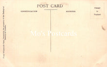 Load image into Gallery viewer, Animals Postcard - Chimpanzees, Whipsnade Zoological Park  SW18937
