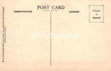 Load image into Gallery viewer, Animals Postcard - Brown Bear and Cub, Whipsnade Zoological Park  SW18938
