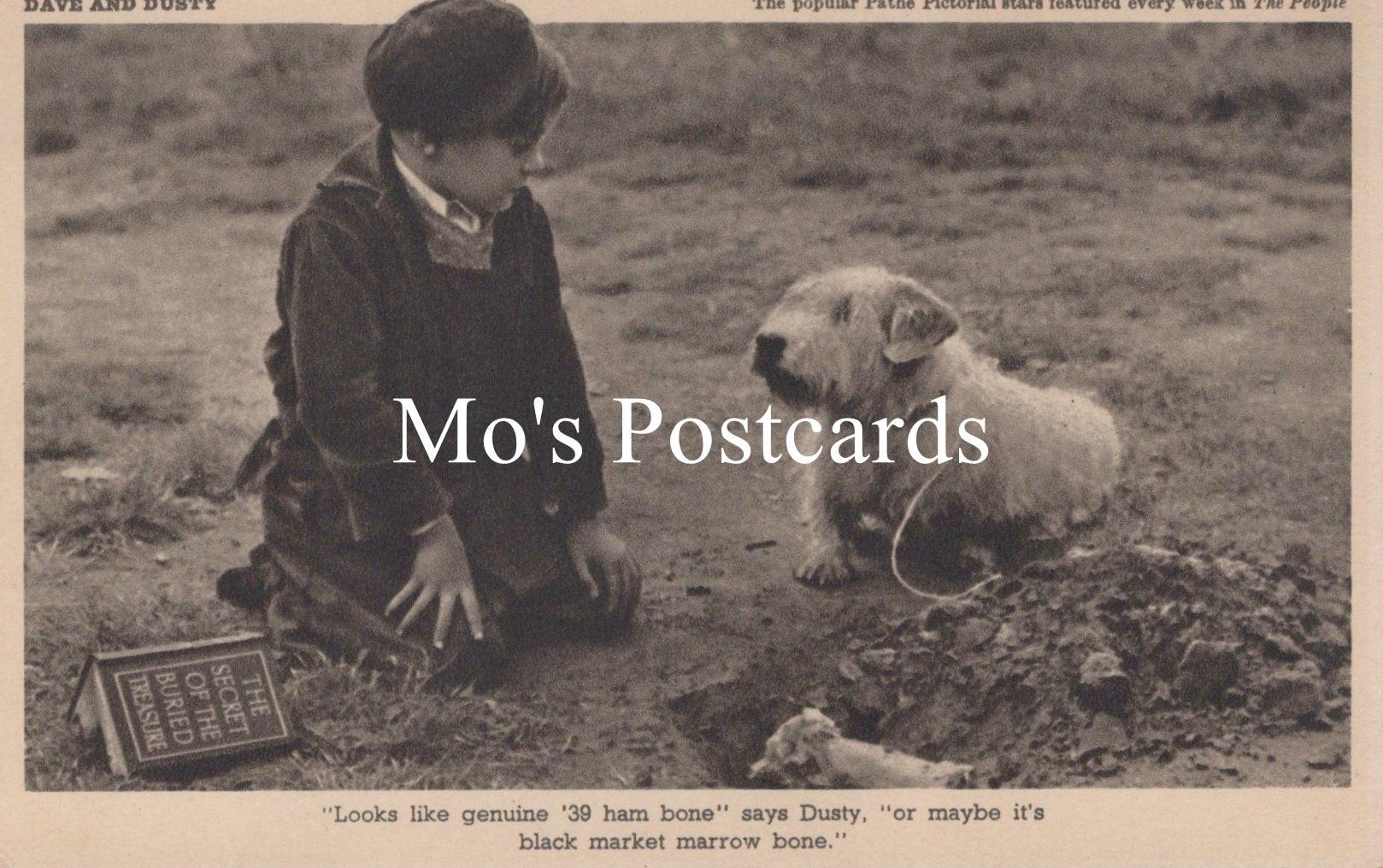 Animals Postcard - Dogs, Dave and Dusty   SW18939