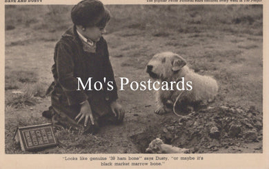Animals Postcard - Dogs, Dave and Dusty   SW18939