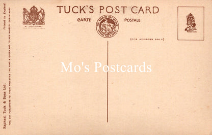 Animals Postcard - Dogs, Dave and Dusty   SW18939