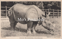 Load image into Gallery viewer, Animals Postcard - Indian Rhinoceros, Whipsnade Zoological Park  SW18940
