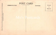 Load image into Gallery viewer, Animals Postcard - Bennett&#39;s Wallabies, Whipsnade Zoological Park   SW18941
