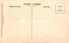 Load image into Gallery viewer, Animals Postcard - Lions, Whipsnade Zoological Park  SW18942
