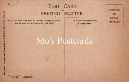 Vintage-style postcard with 'Mo's Postcards' branding and text.
