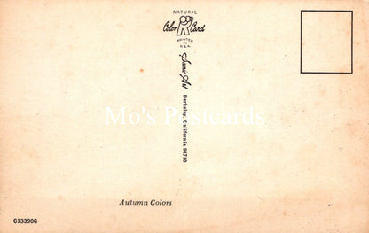 Vintage-style postcard with 'Mo's Postcards' branding and 'Autumn Colors' text on a beige background.