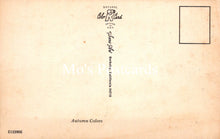 Load image into Gallery viewer, Vintage-style postcard with &#39;Mo&#39;s Postcards&#39; branding and &#39;Autumn Colors&#39; text on a beige background.
