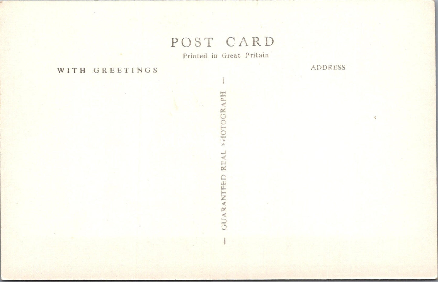 Wiltshire Postcard - Longleat, The State Dining Room  SX1