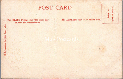 Bristol Postcard - Steamer on The River Avon, Showing Woods SX15