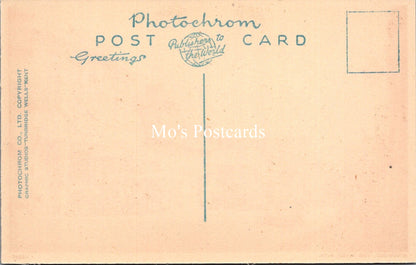 Hampshire Postcard - Ringwood, The River Avon   SX28