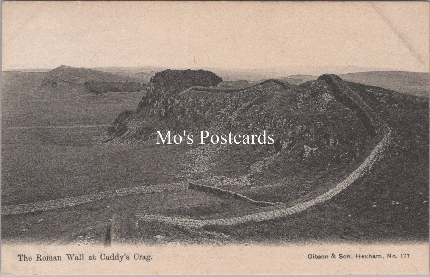Northumberland Postcard - The Roman Wall at Cuddy's Crag  SX100