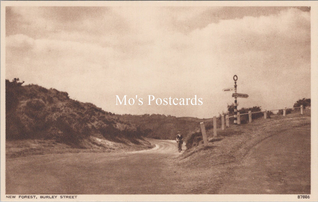 Hampshire Postcard - The New Forest, Burley Street  SX101