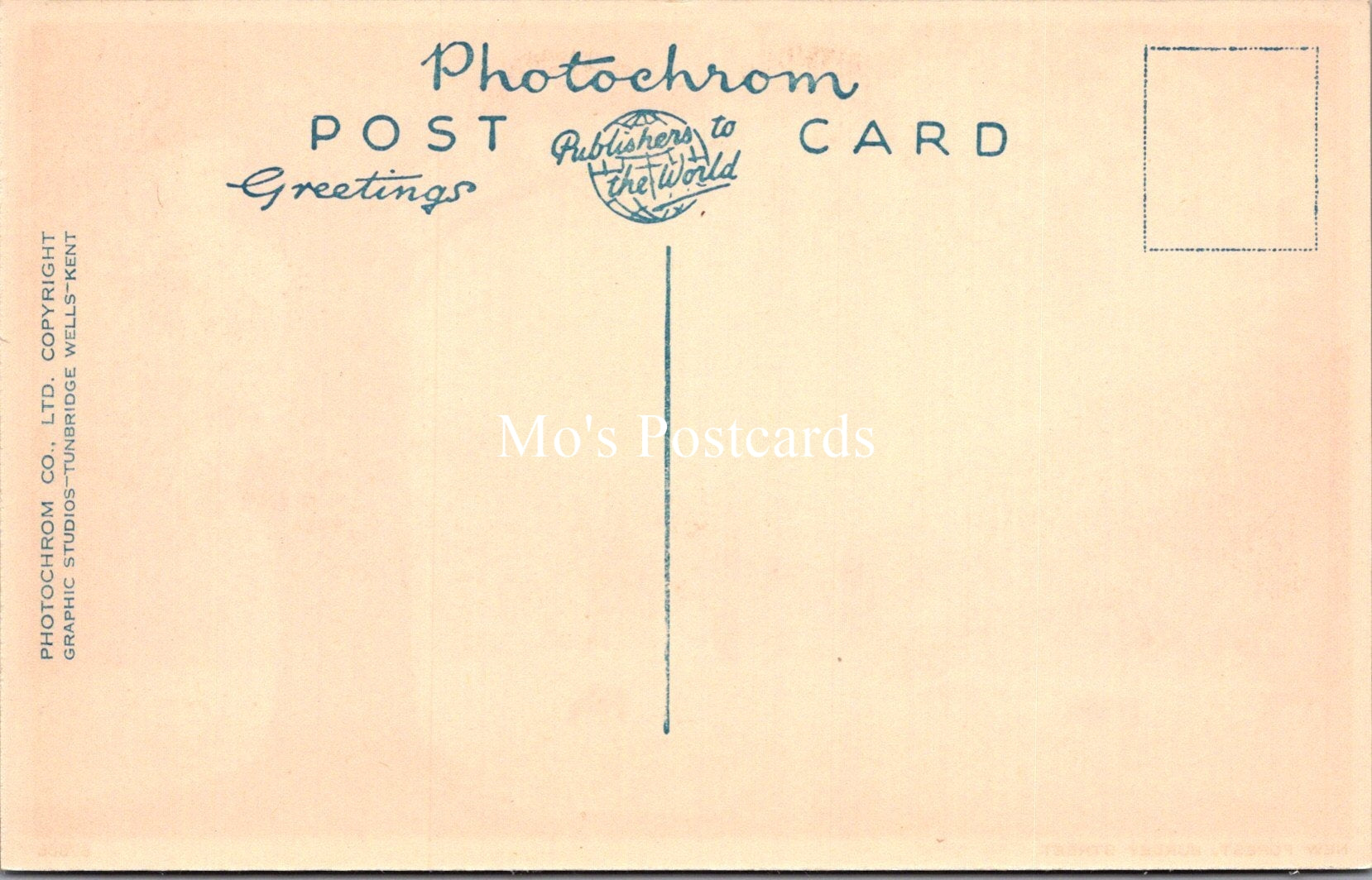 Hampshire Postcard - The New Forest, Burley Street  SX101