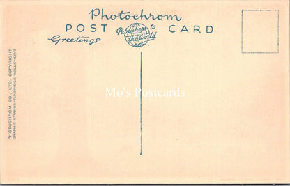Hampshire Postcard - The New Forest, Burley Street  SX101