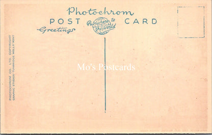 Hampshire Postcard - Ringwood, The Old Bridge, River Avon  SX102