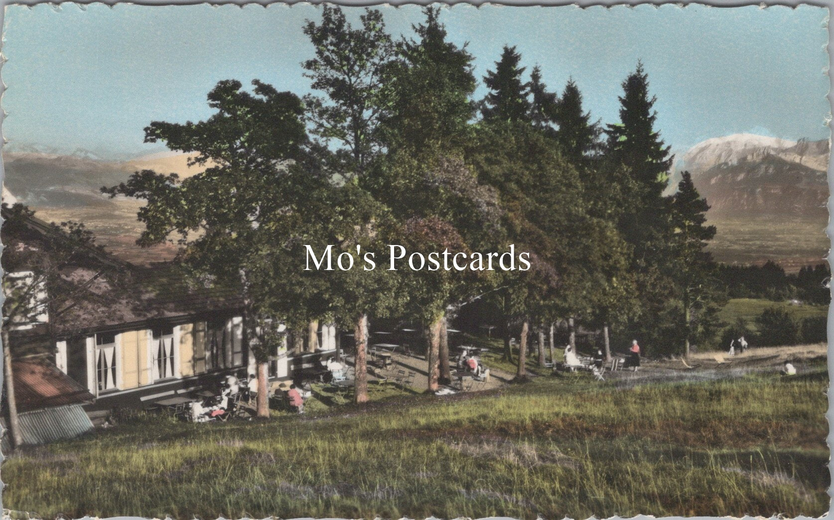 France Postcard - Le Mont Saleve, Restaurant-Buffet Des XIII Arbres  SX127