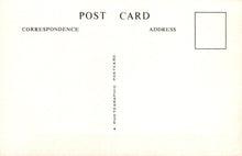 Load image into Gallery viewer, Blank postcard with &#39;Post Correspondence Address&#39; text and a rectangular area for a photograph.
