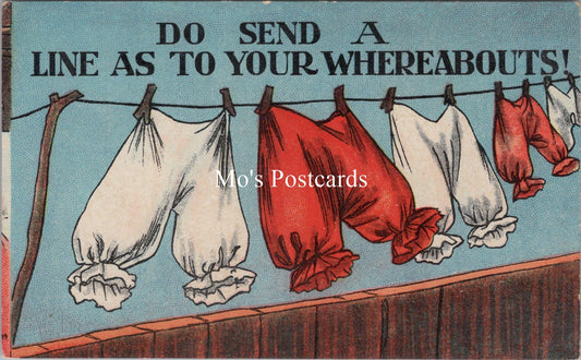 Comic Postcard - Clothes Drying on The Washing Line   SW17627