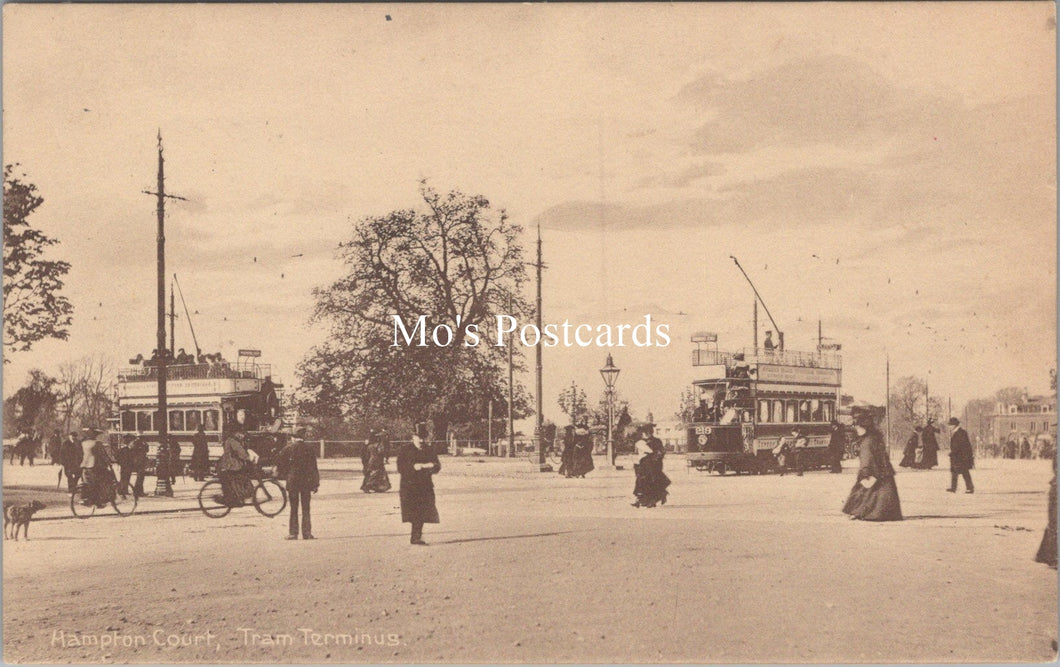 Middlesex Postcard - Hampton Court Tram Terminus  SW17778