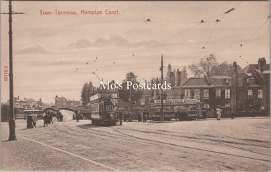 Middlesex Postcard - Hampton Court Tram Terminus  SW17779