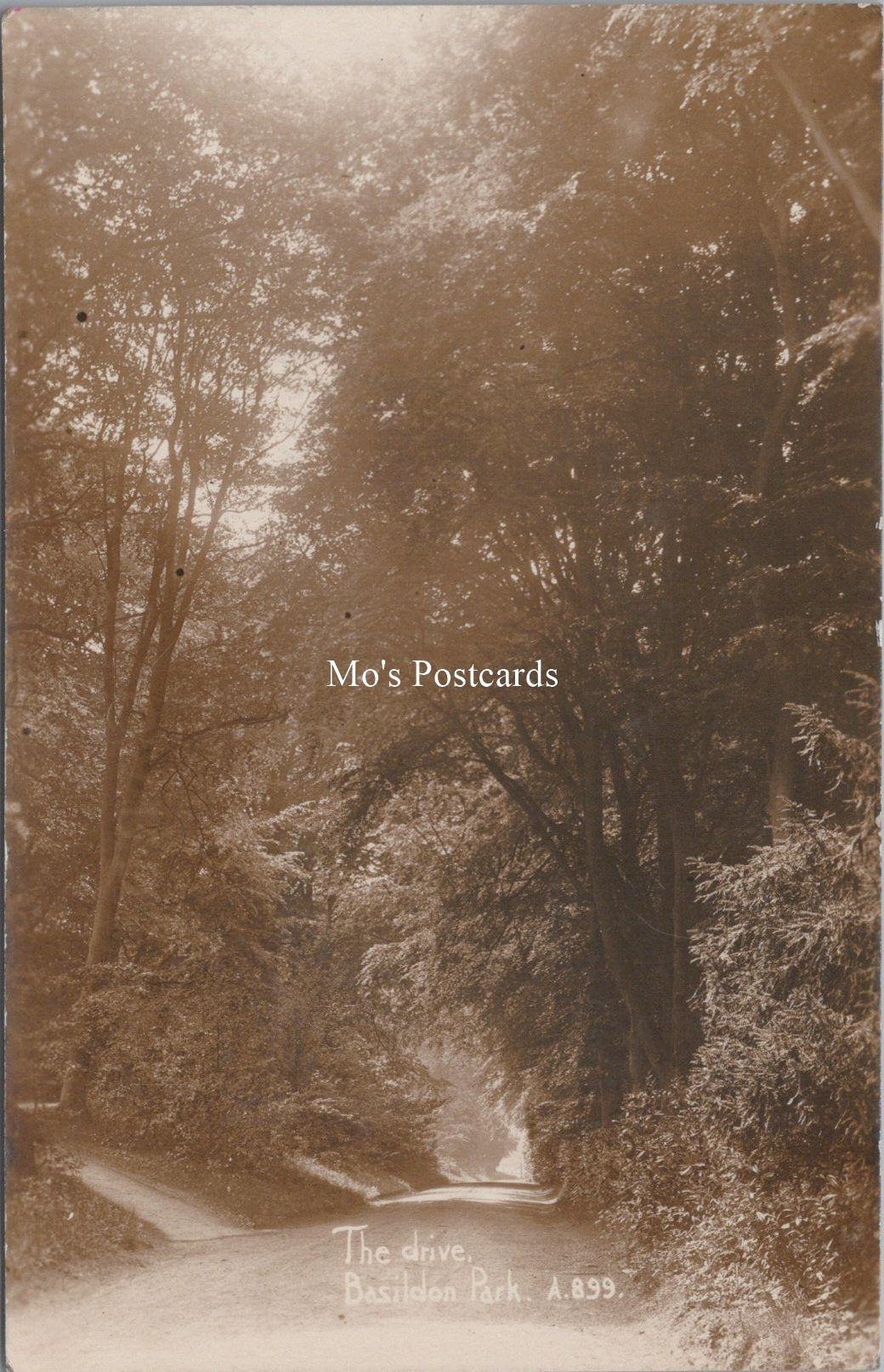 Berkshire Postcard - The Drive, Basildon Park  SW17932