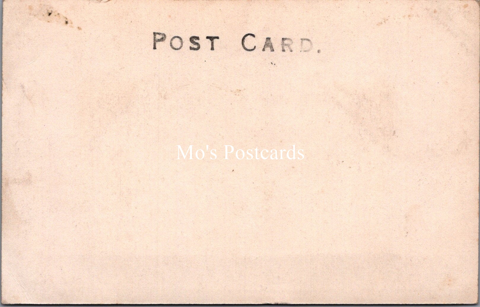 Berkshire Postcard - The Drive, Basildon Park  SW17932