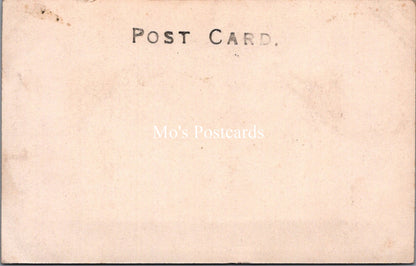 Berkshire Postcard - The Drive, Basildon Park  SW17932