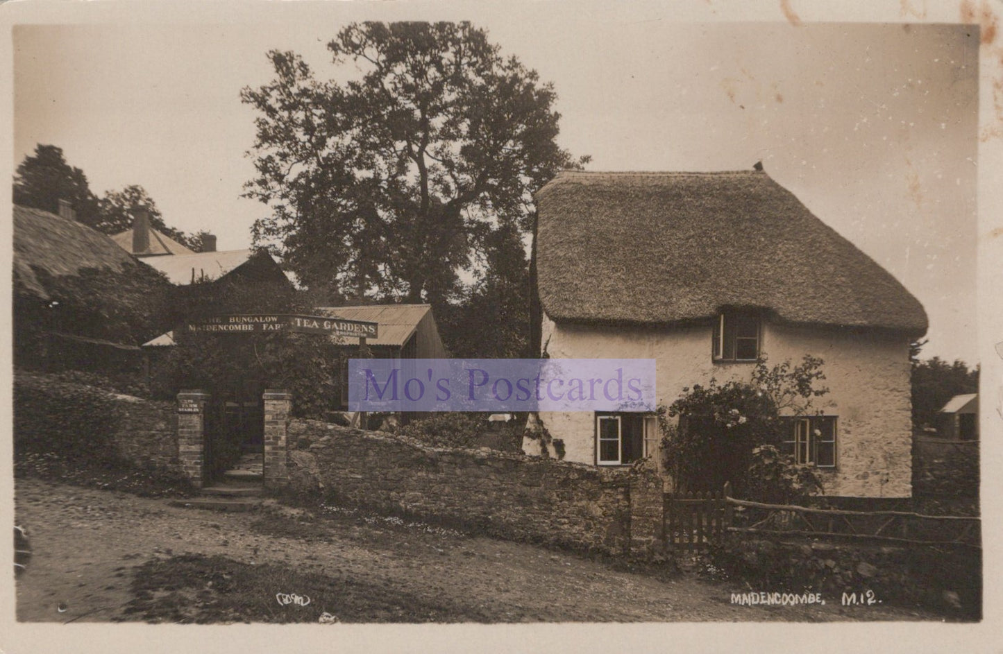 Devon Postcard - Tea Gardens, The Bungalow, Maidencombe Farm  SW20186