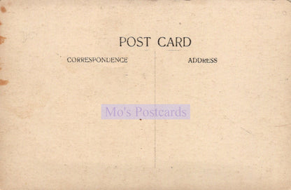 Devon Postcard - Tea Gardens, The Bungalow, Maidencombe Farm  SW20186