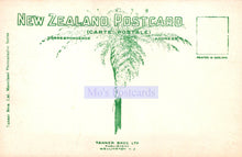 Load image into Gallery viewer, New Zealand Postcard - Aerial View of Cathedral Square, Christchurch  SW20192
