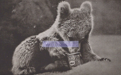 Advertising Postcard - Bear Cub Eating Golden Syrup SW20196