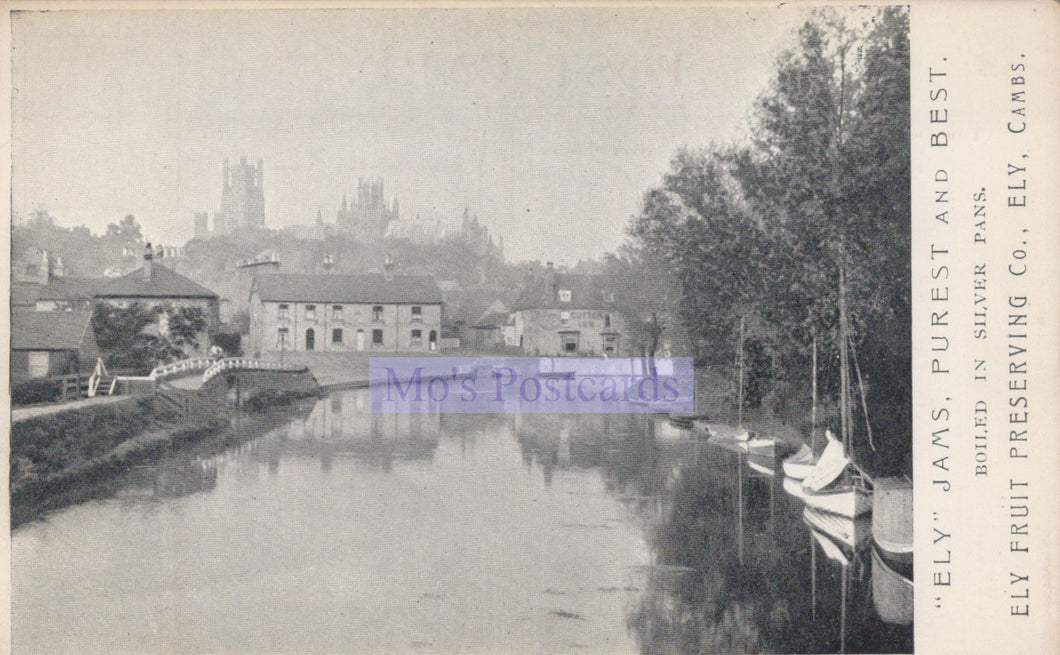 Cambridgeshire Postcard - Ely Cathedral From Railway  SW20198
