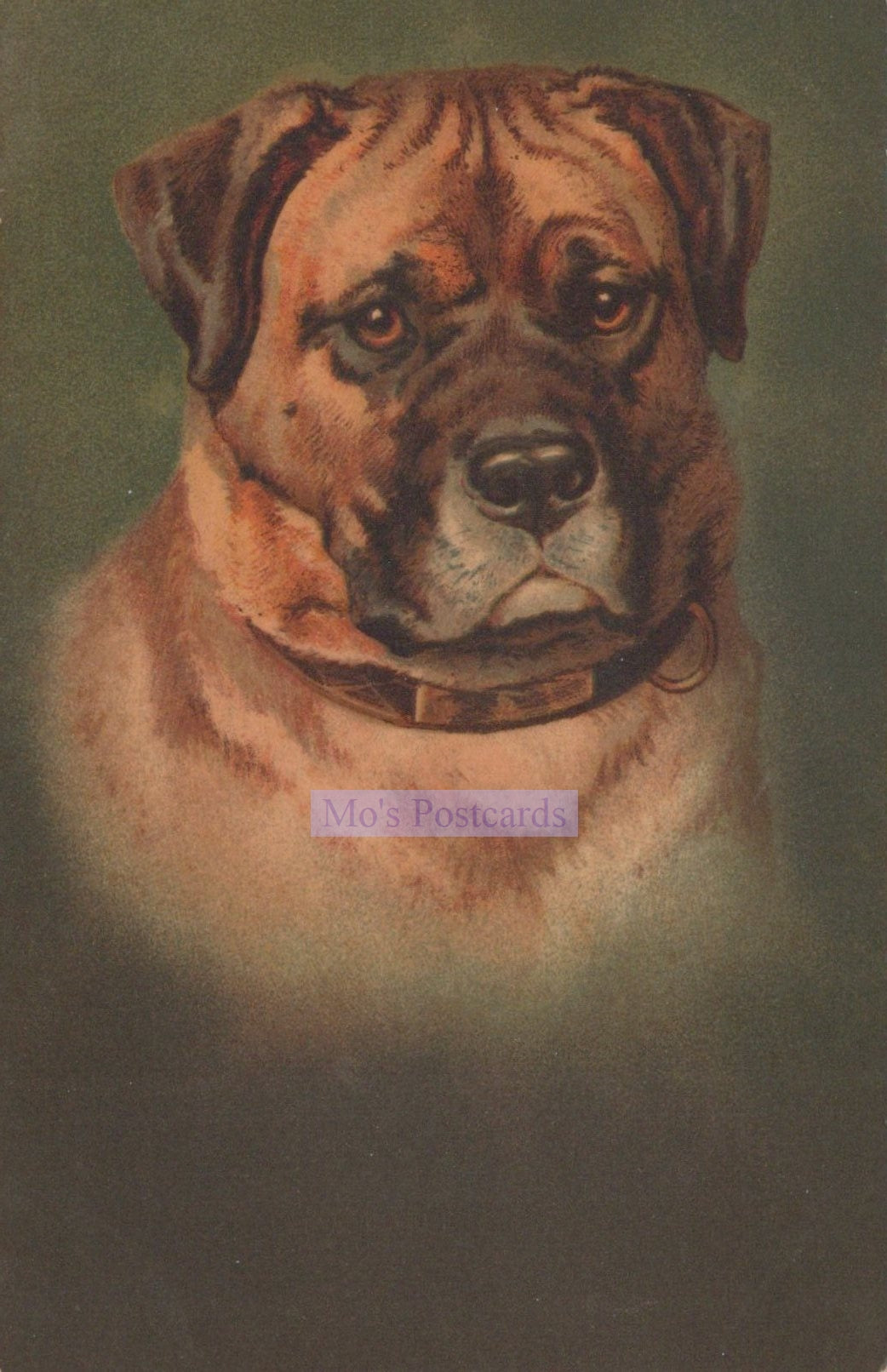 Vintage-style illustration of a dog with a dark green background