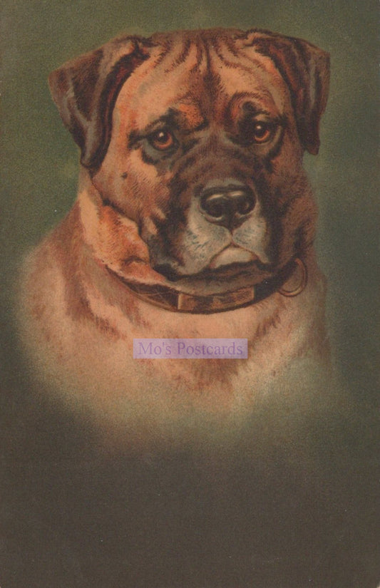 Vintage-style illustration of a dog with a dark green background