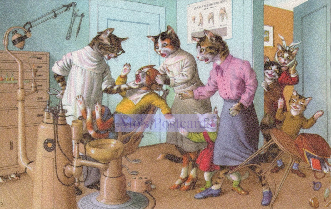 Anthropomorphic Cats Postcard - Artist Alfred Mainzer, Dentist SW20235