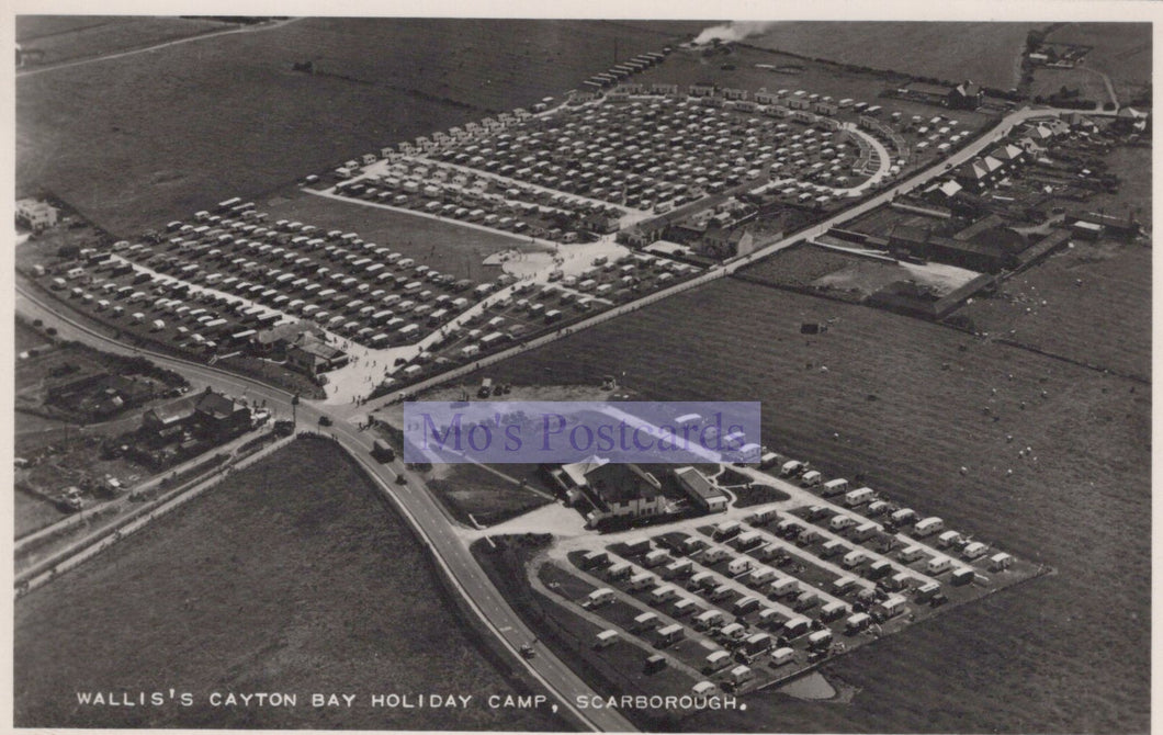 Aerial view of Wallis's Cayton Bay Holiday Camp in Scarborough, featuring rows of holiday cottages.