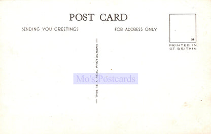 Back of a postcard with text and branding