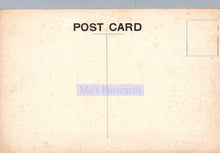 Load image into Gallery viewer, Scotland Postcard - Putting Green, Peebles  VT458  
